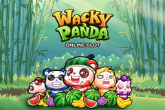 Wacky Panda Slot Wacky Panda Slot