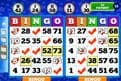 bingo-haven